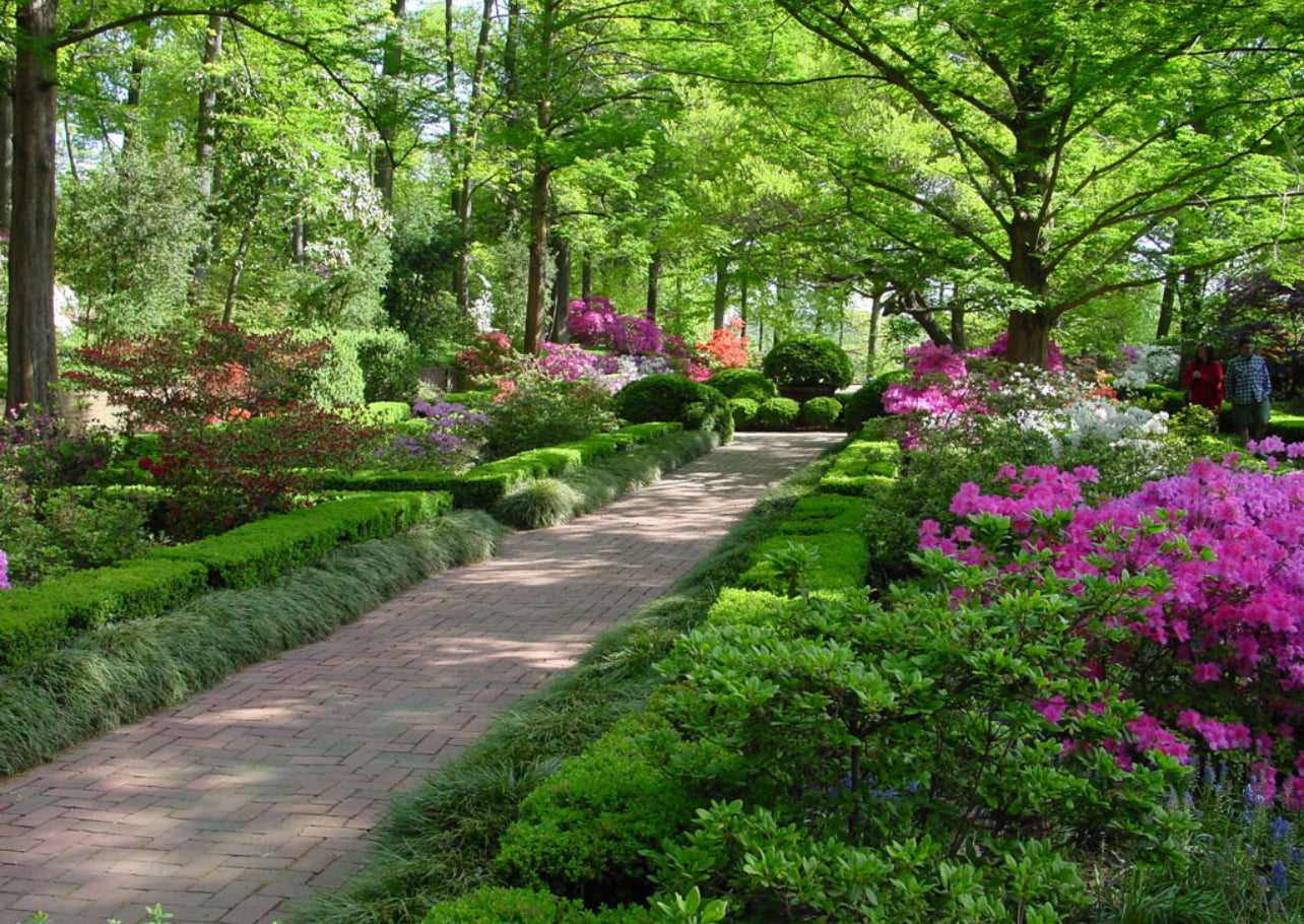 Arboretum