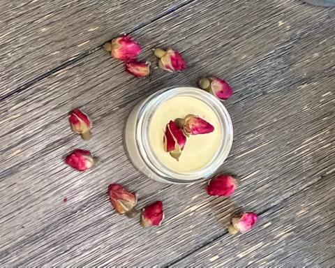 Rejuvenate Curated Combination