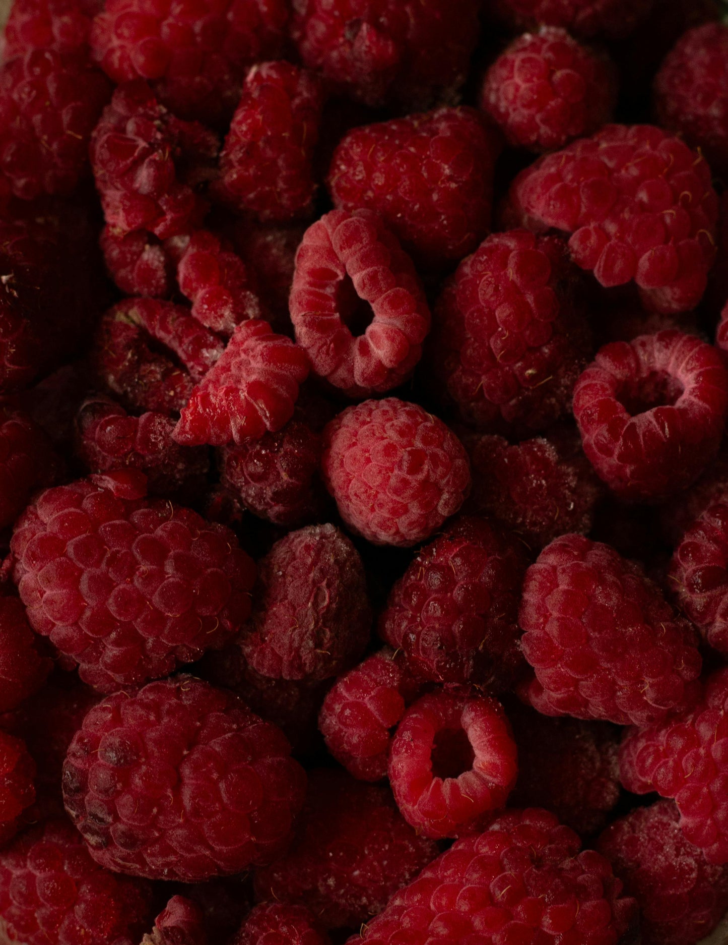 Sunday Sundae lotion